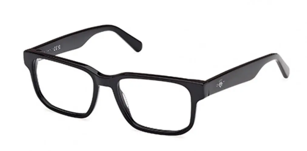 Gant 50030 Eyeglasses 1