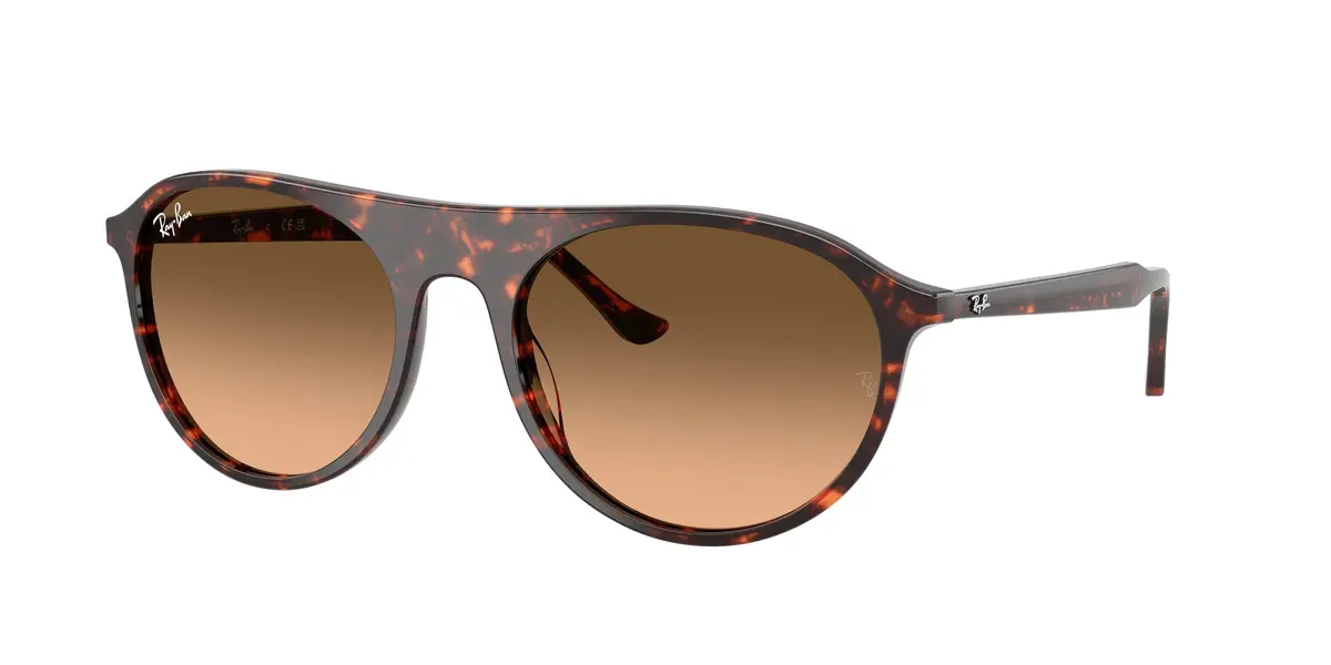 Ray-Ban 2215 Sunglasses 1