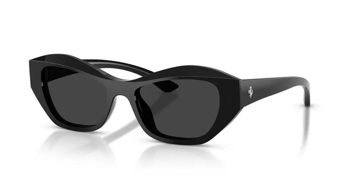 Ferrari 2022U Sunglasses 1