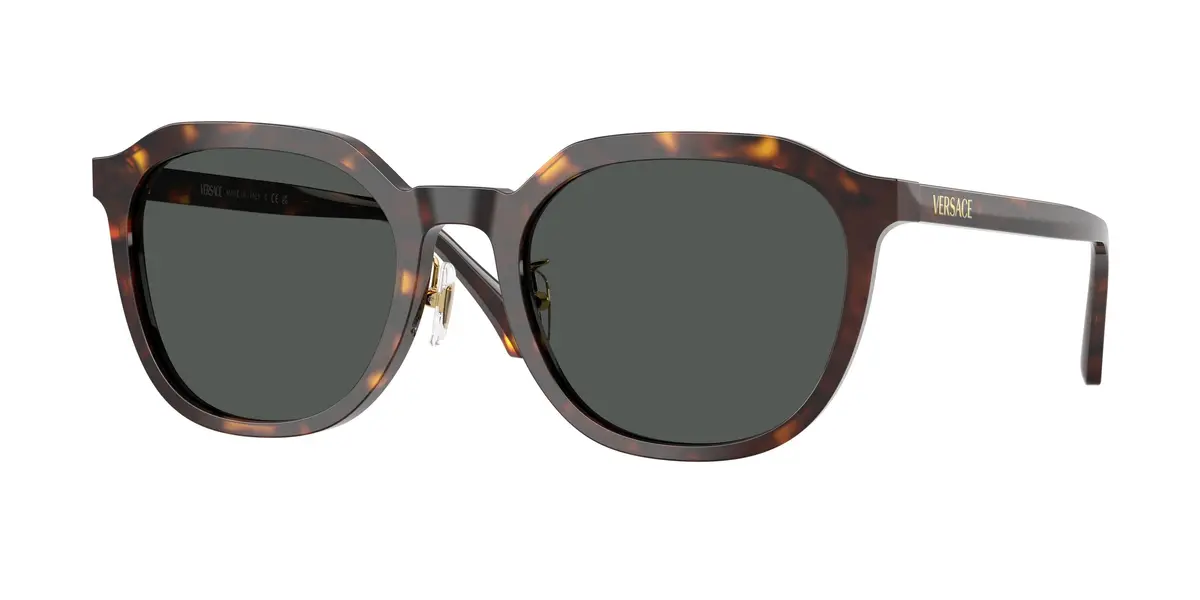 Versace 4493D Sunglasses 1