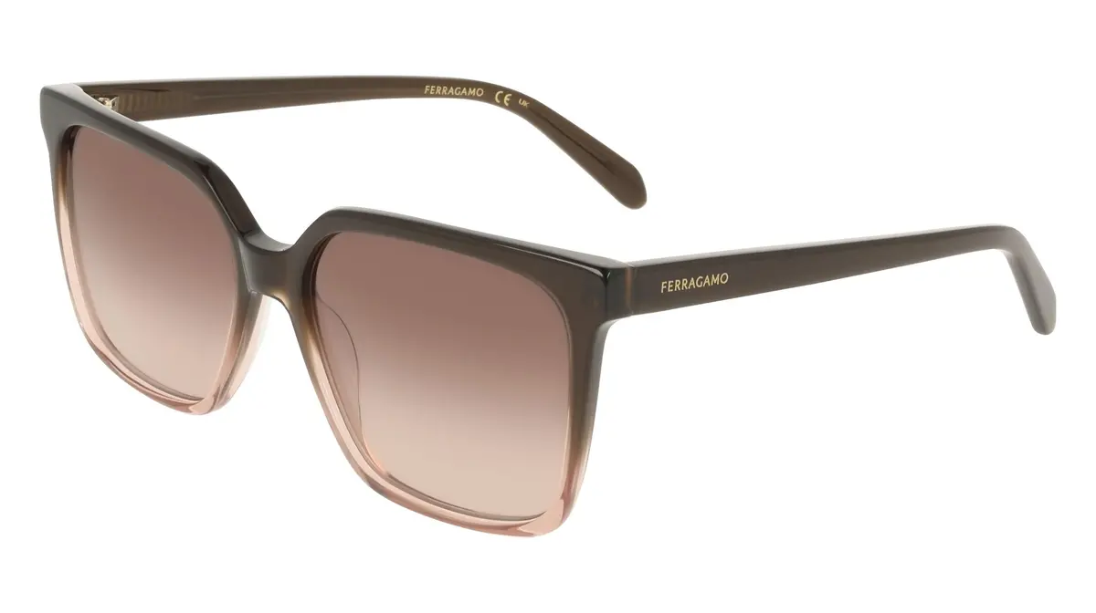 Salvatore Ferragamo Sf2102s Sunglasses 1