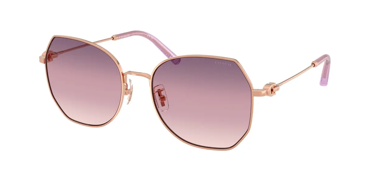 Coach Cad79 7175 Sunglasses 1