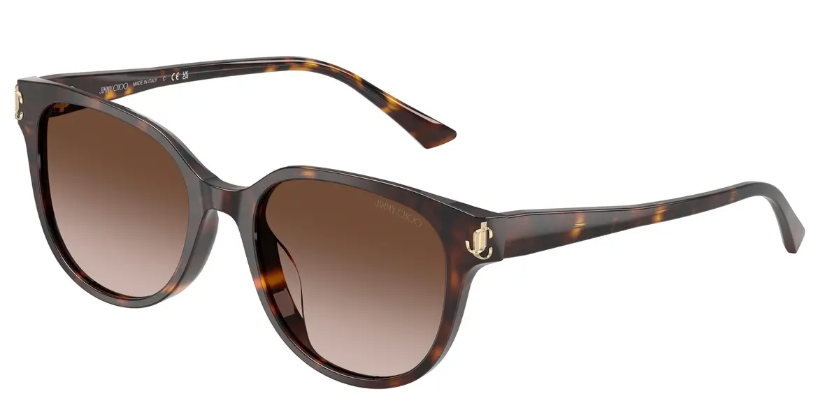 Jimmy Choo 5057D Sunglasses 1