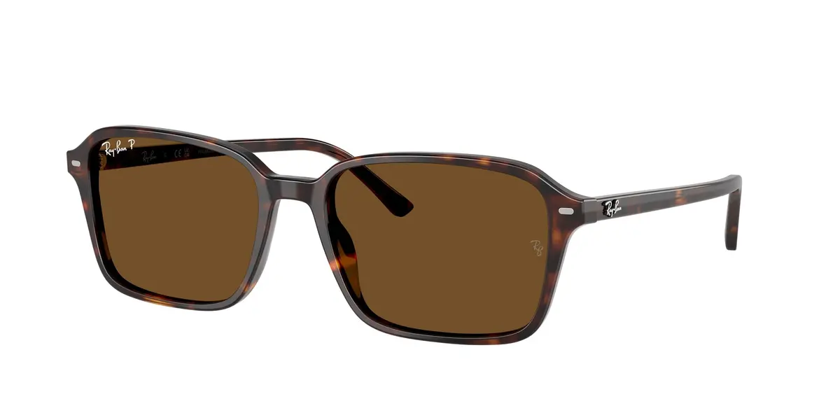 Ray-Ban Raimond 2231F Sunglasses 1