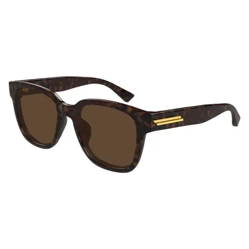 Bottega Veneta Bv1461sk Sunglasses 1