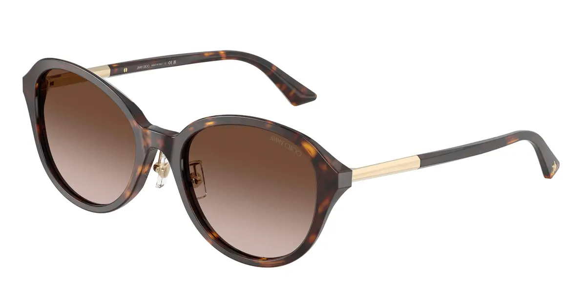 Jimmy Choo 5044D Sunglasses 1