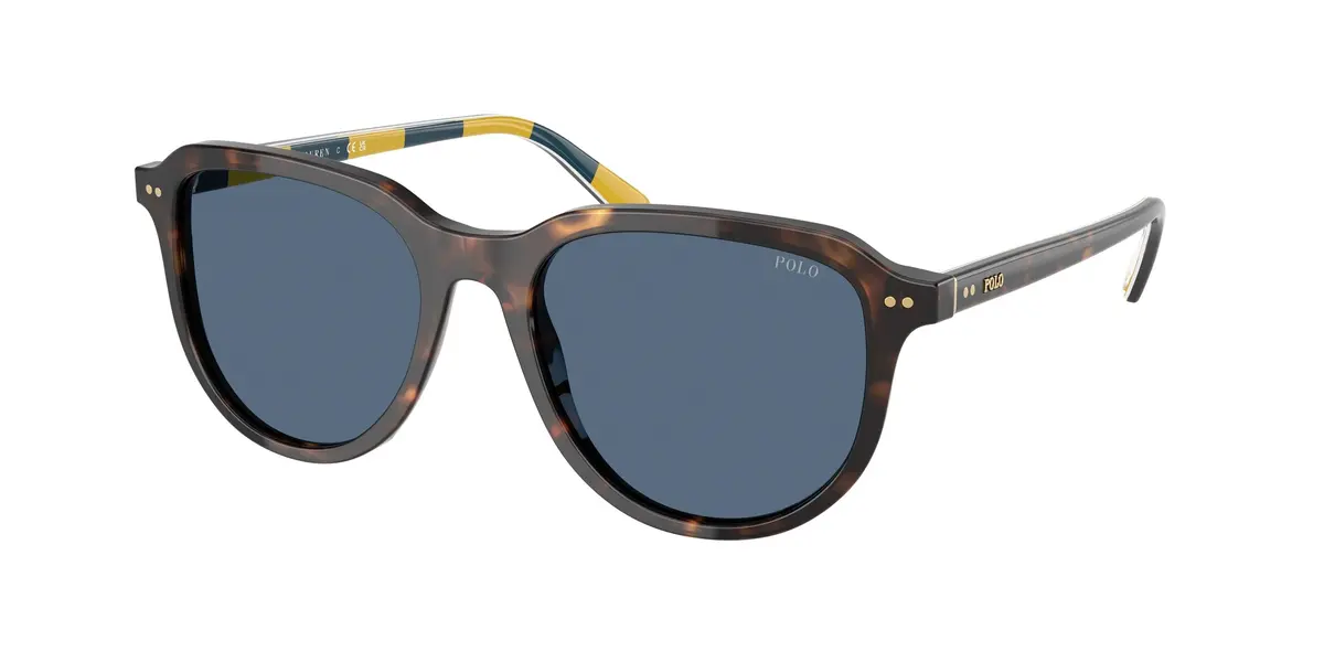Polo 4225F Sunglasses 1