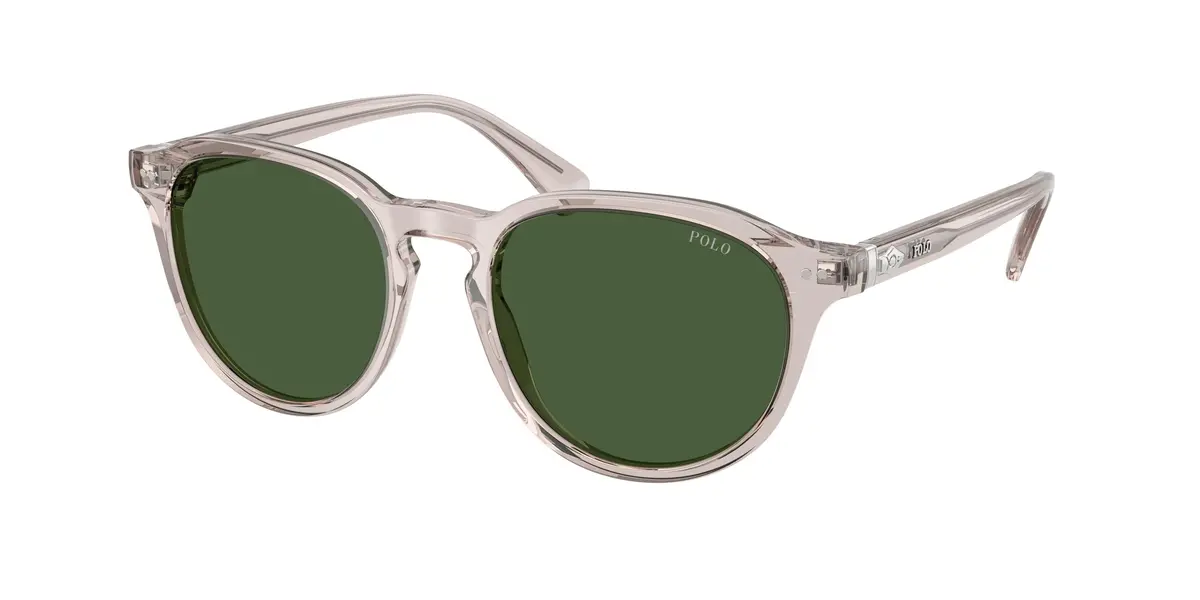Polo 4221 Sunglasses 1