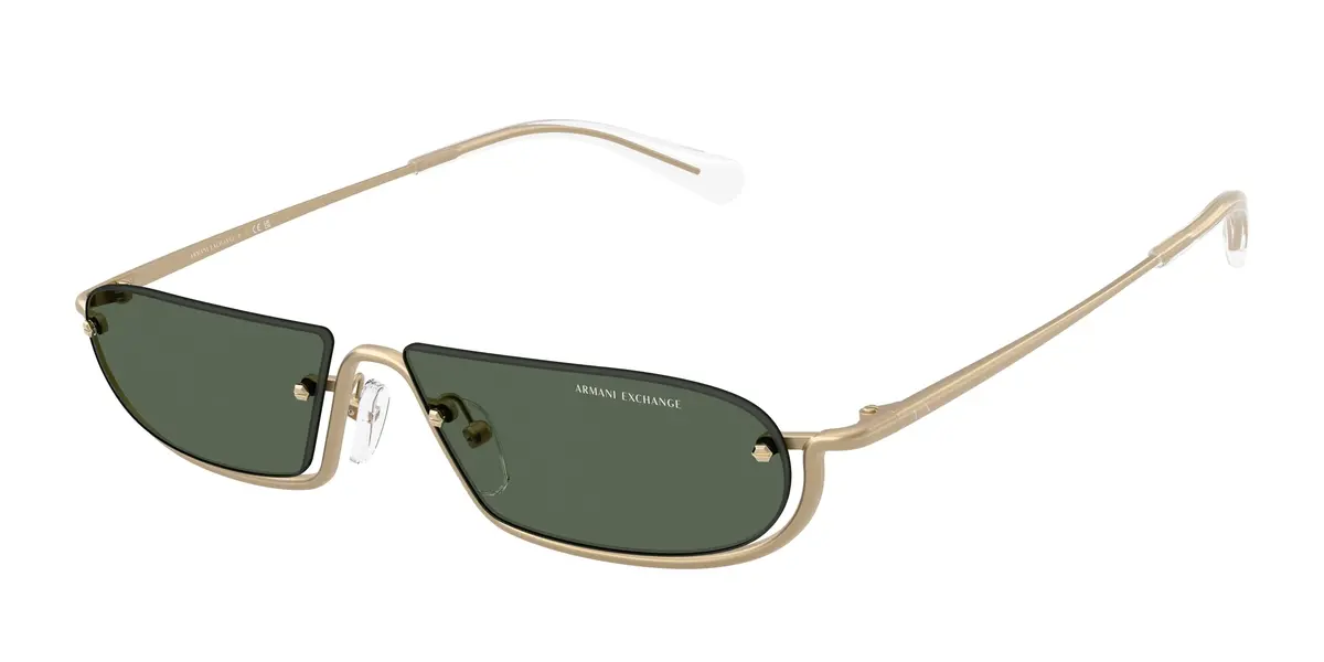 Armani Exchange 2058S Sunglasses 1