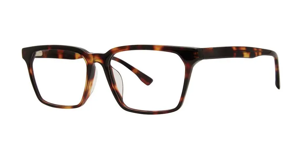 Bmec Bigpromise Eyeglasses 1