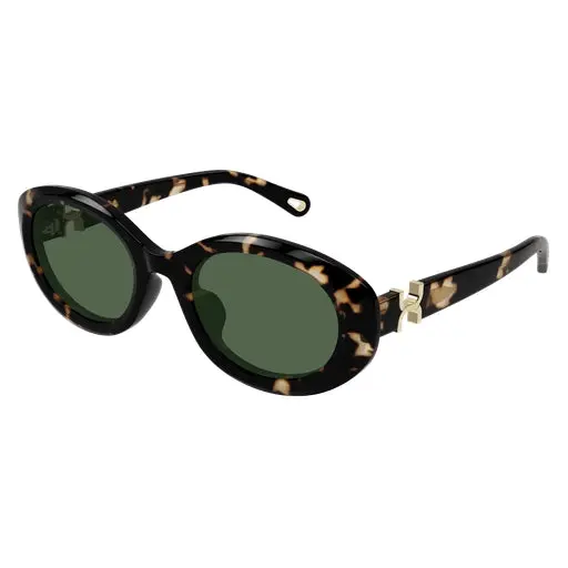 Chloe Ch0323sk Sunglasses 1
