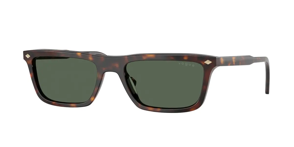 Vogue 5687S Sunglasses 1