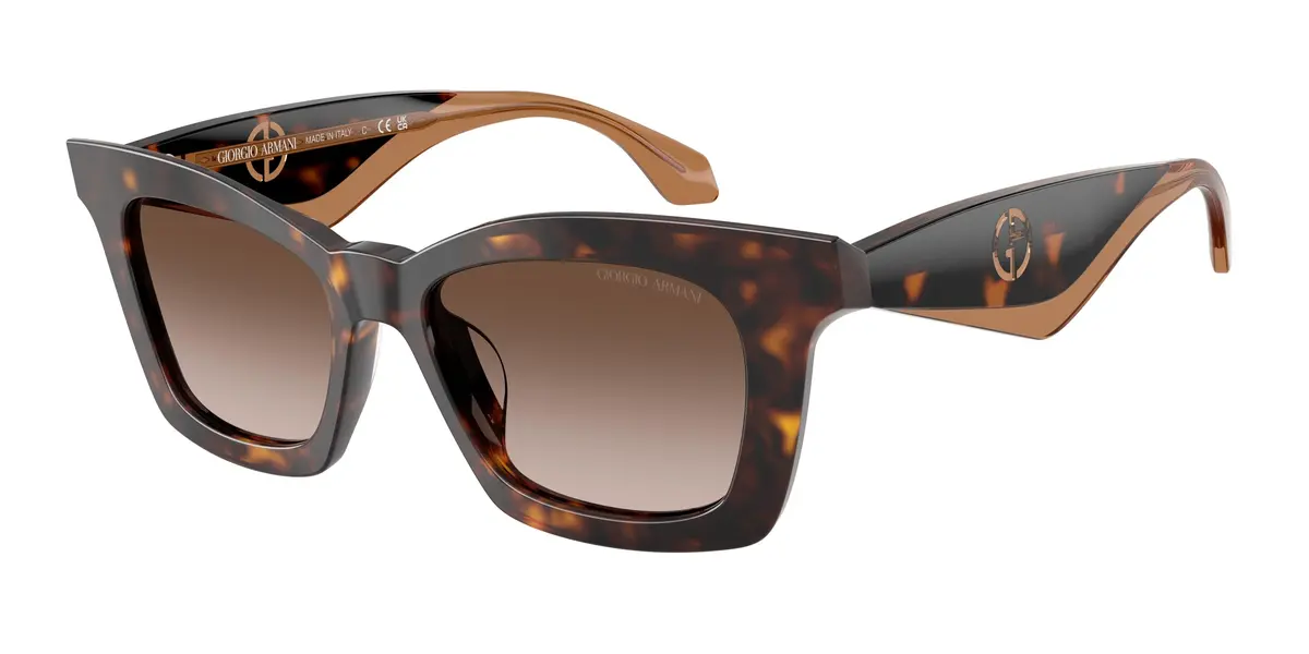 Giorgio Armani 8235U Sunglasses 1