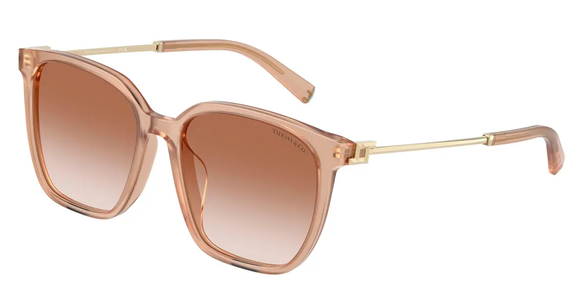 Tiffany 4244D Sunglasses 1