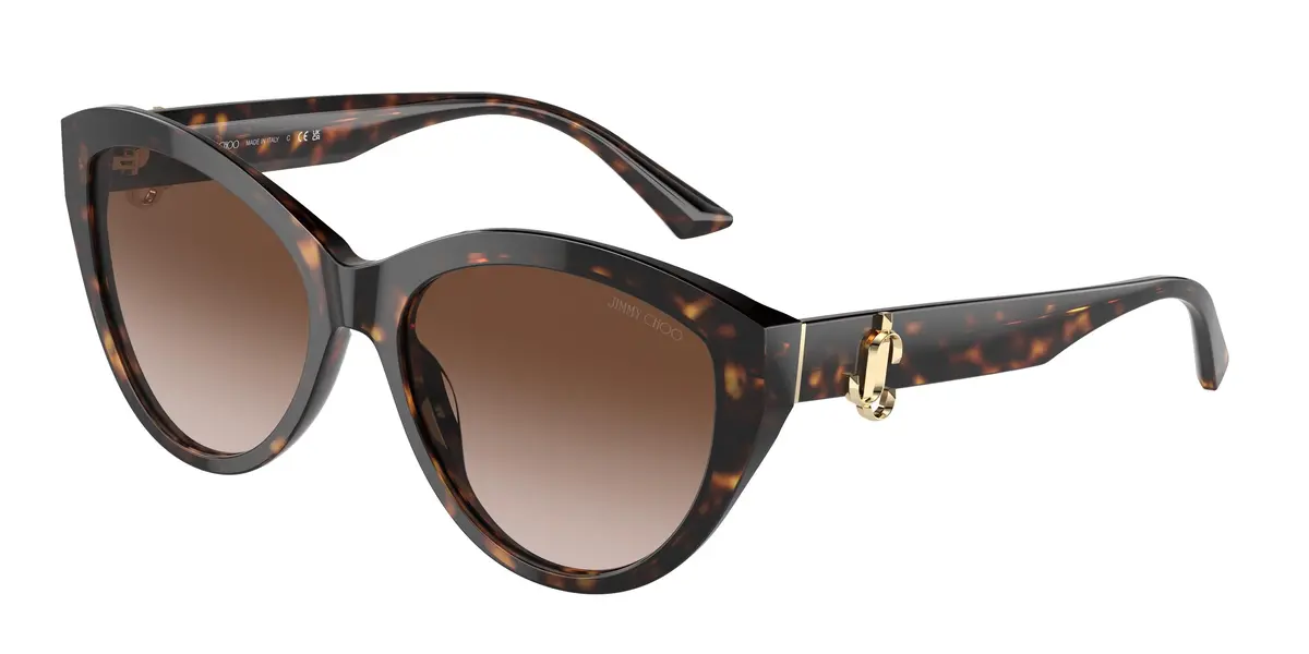 Jimmy Choo 5007 Sunglasses 1