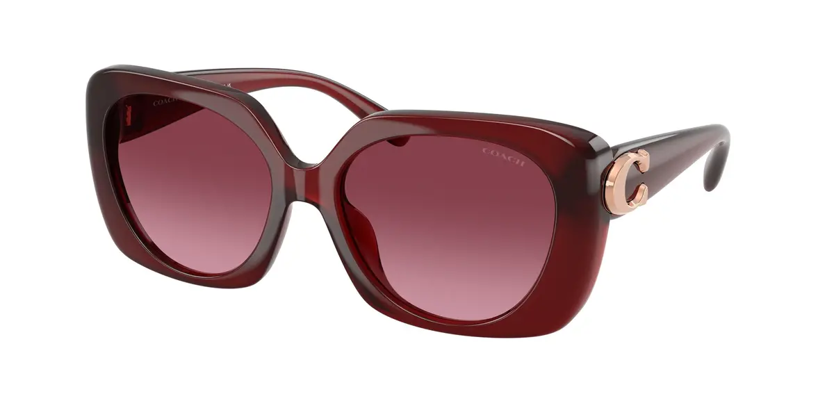 Coach Cad33 8422U Sunglasses 1
