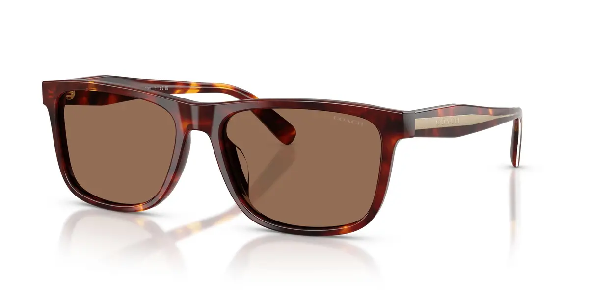 Coach Cdp55 8454U Sunglasses 1