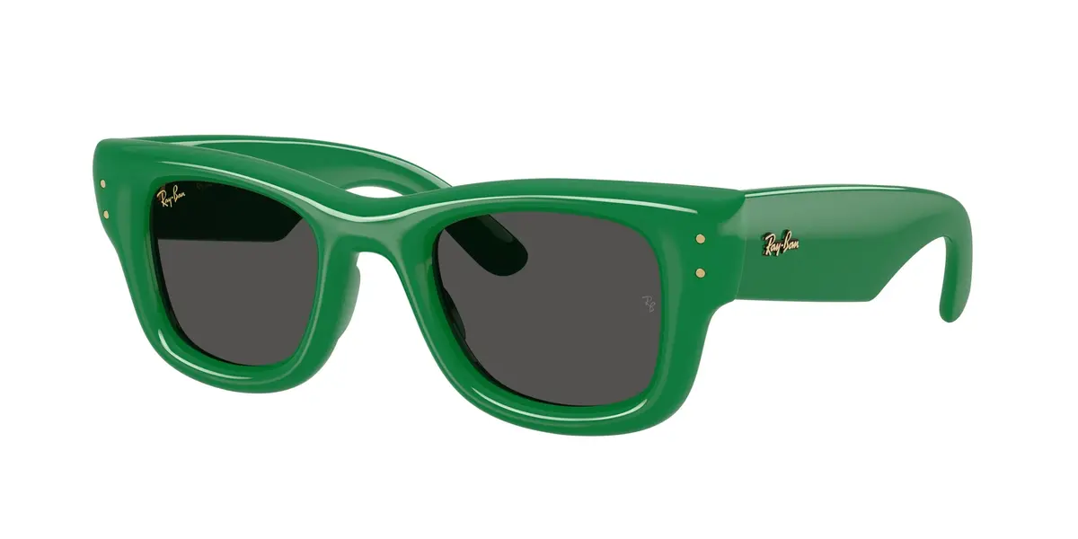 Ray-Ban Wayfarer Puffer 4940 Sunglasses 1