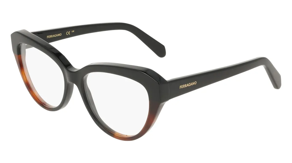 Salvatore Ferragamo Sf3046 Eyeglasses 1