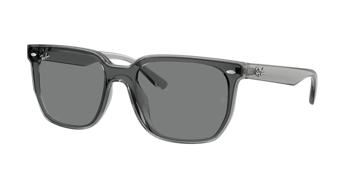 Ray-Ban 4466D Sunglasses 1