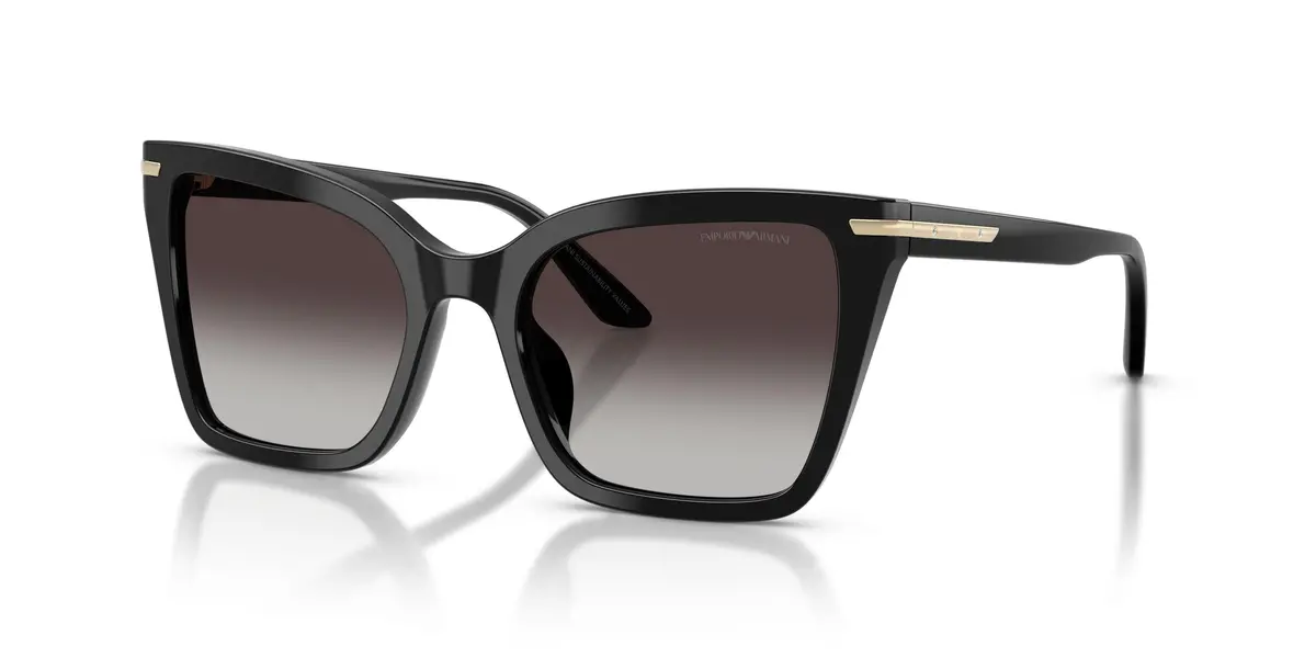 Emporio Armani 4273Bu Sunglasses 1