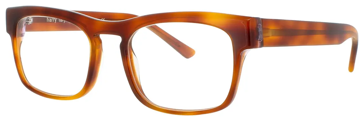 Harry Lary Conformity Eyeglasses 1