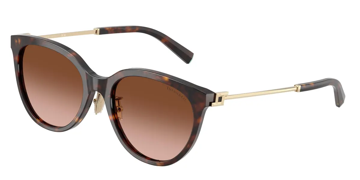 Tiffany 4243D Sunglasses 1