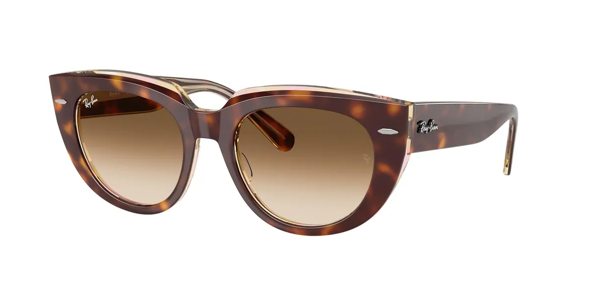 Ray-Ban Doreen 2286F Sunglasses 1