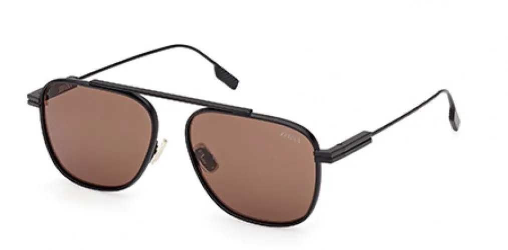 Zegna 0291 Sunglasses 1