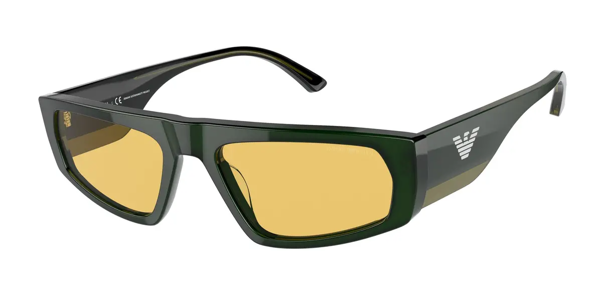 Emporio Armani 4168F Sunglasses 1