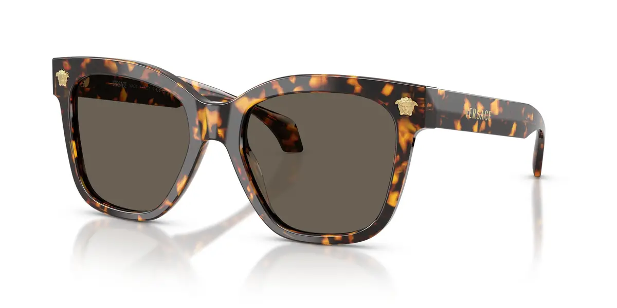 Versace 4511 Sunglasses 1