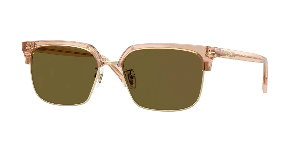 Versace 4494D Sunglasses 1