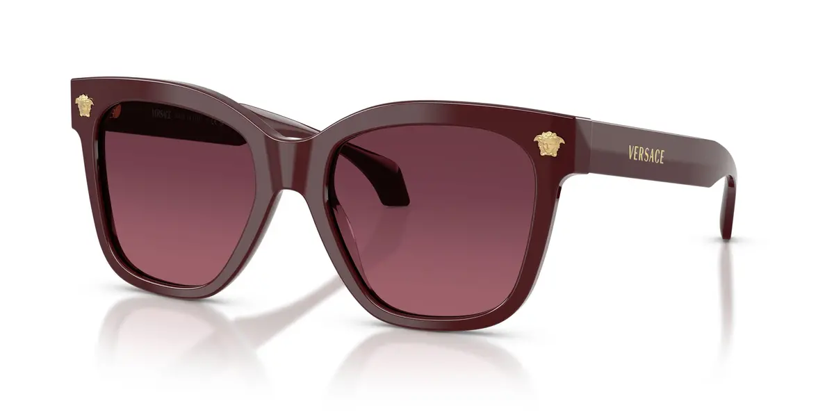 Versace 4511F Sunglasses 1