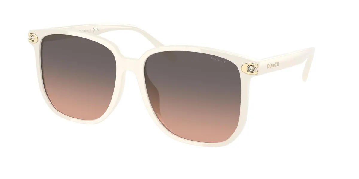 Coach Cw419 8413Bd Sunglasses 1