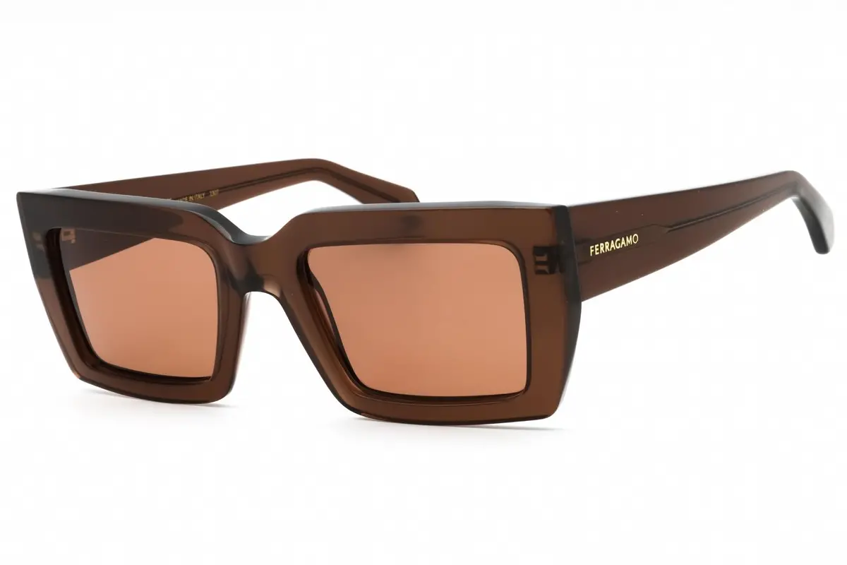 Salvatore Ferragamo Sf1108s Sunglasses 1