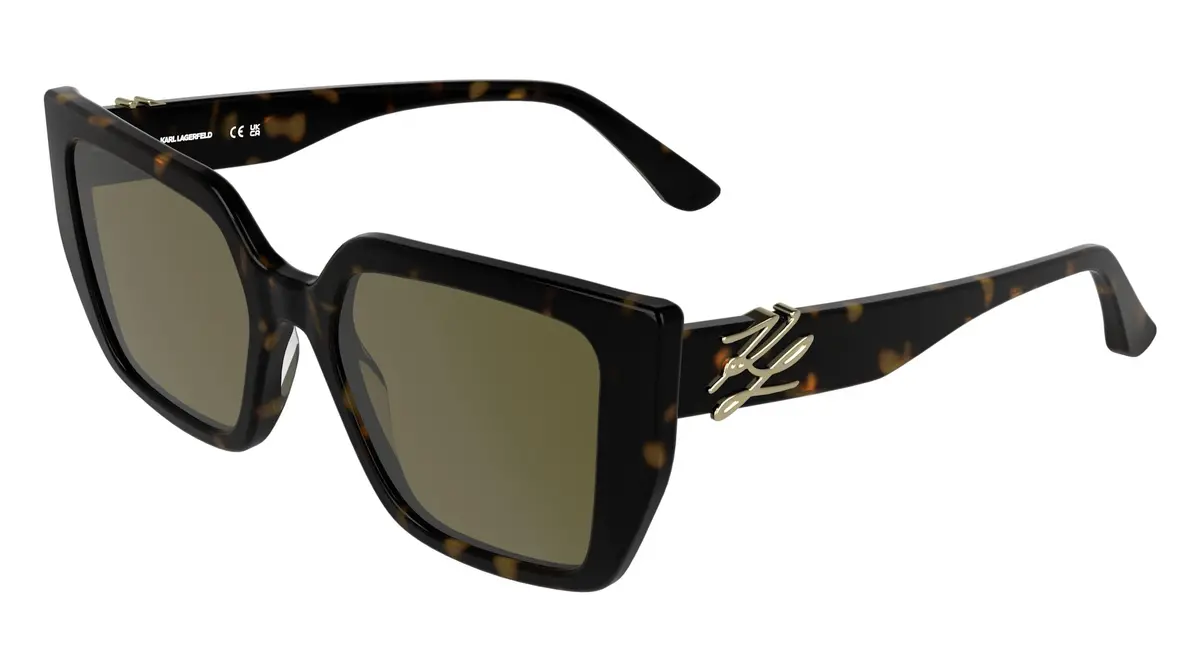 Karl Lagerfeld Kl6221s Sunglasses 1