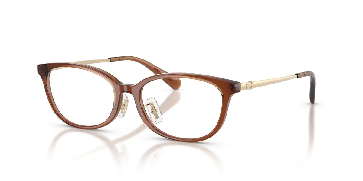 Coach 6295D Eyeglasses 1