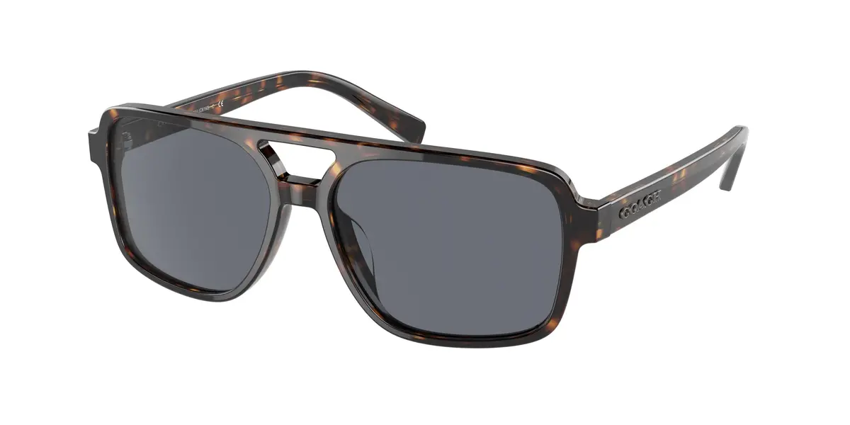 Coach C6193 8325U Sunglasses 1