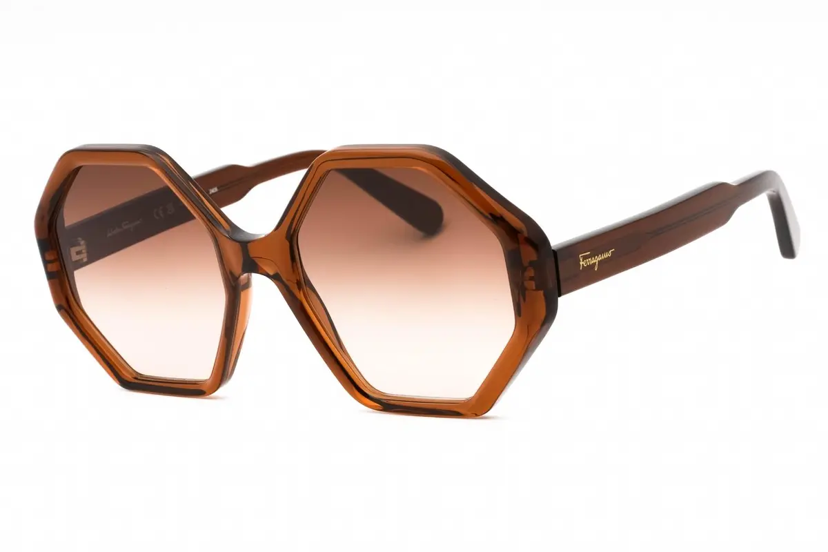Salvatore Ferragamo Sf1070s Sunglasses 1