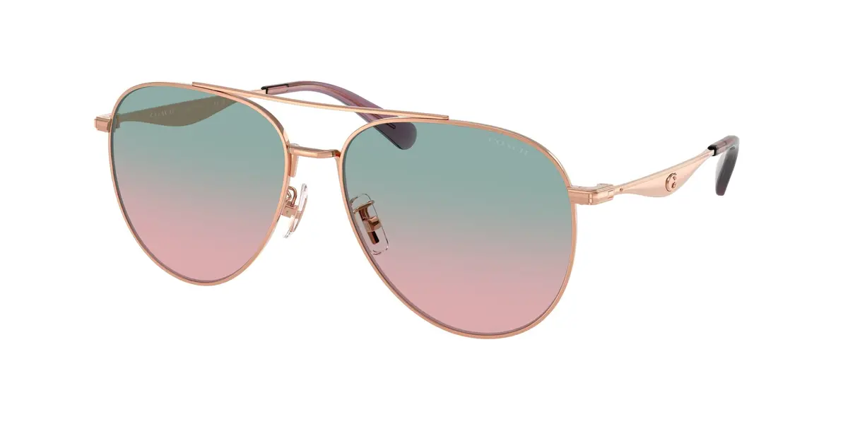 Coach Cw193 7169 Sunglasses 1