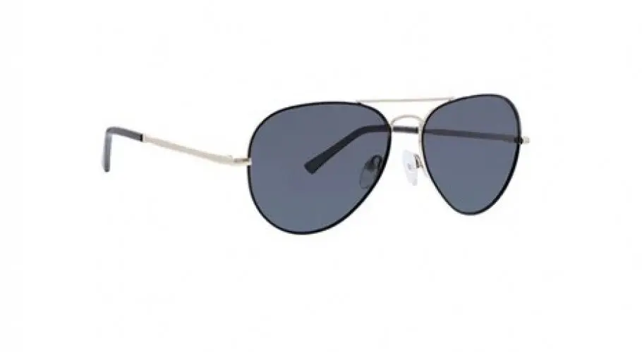 Life Is Good Lgbedford Sunglasses 1