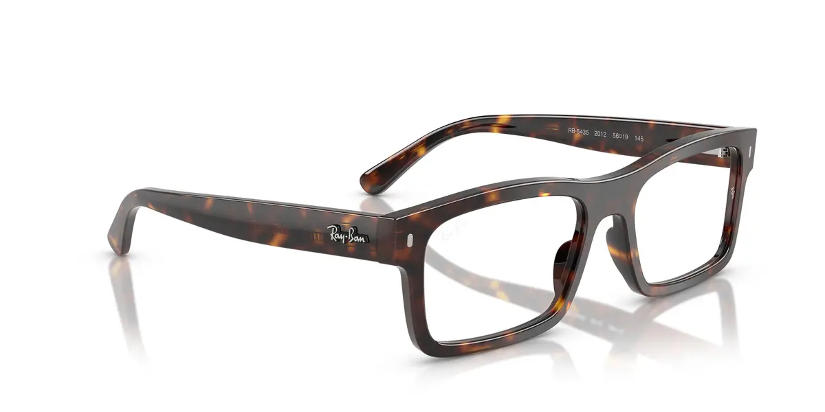 Ray-Ban 5435 Eyeglasses 24