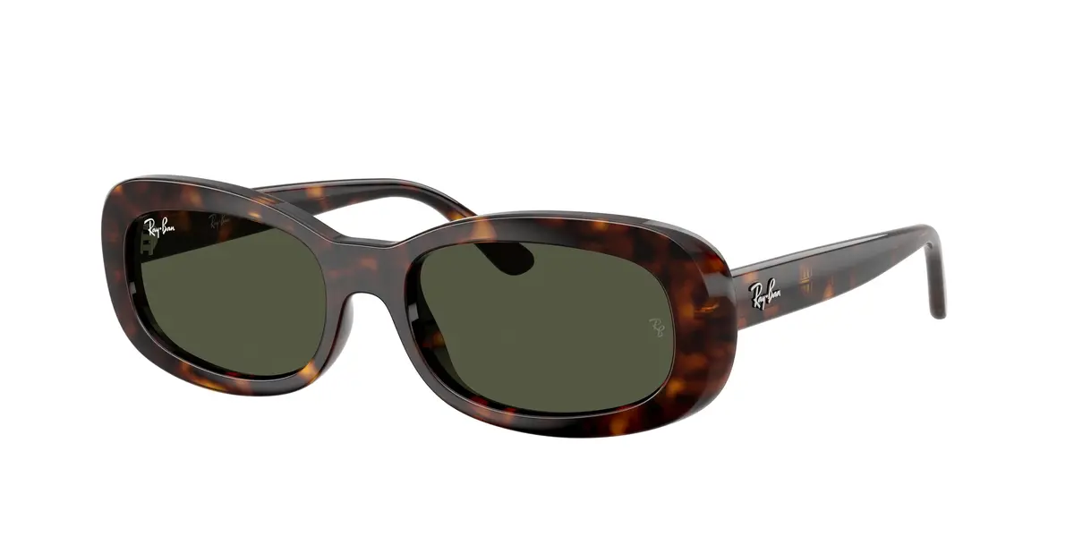 Ray-Ban 2221F Sunglasses 1
