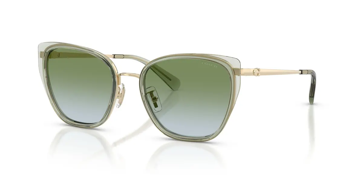 Coach Cdp56 7187 Sunglasses 1