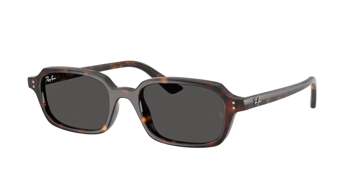 Ray-Ban Zuri 4455F Sunglasses 1