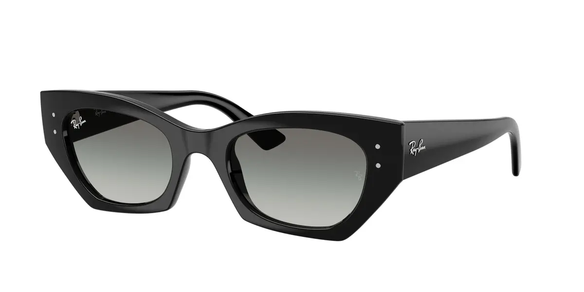 Ray-Ban Zena 4430 Sunglasses 1
