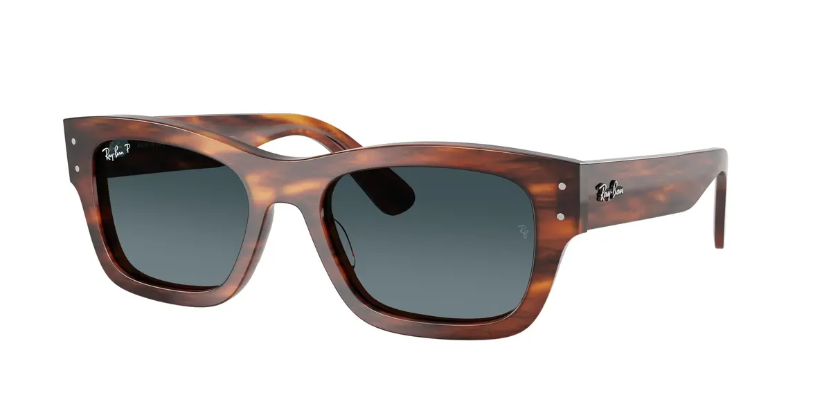 Ray-Ban Joseph 7683S Sunglasses 1