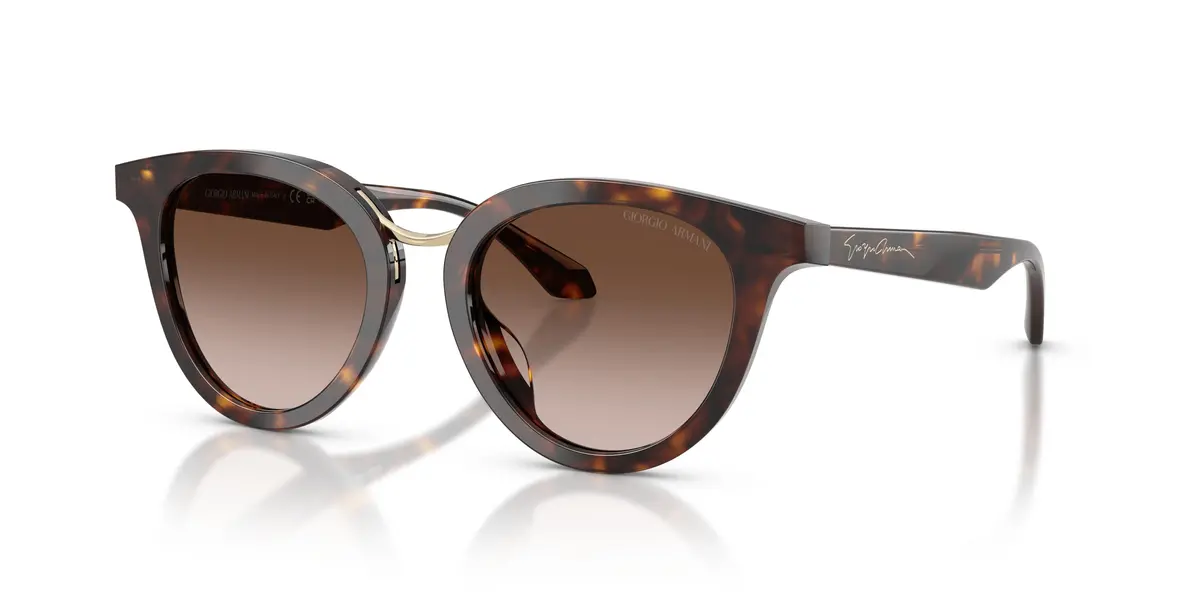 Giorgio Armani 8252U Sunglasses 1