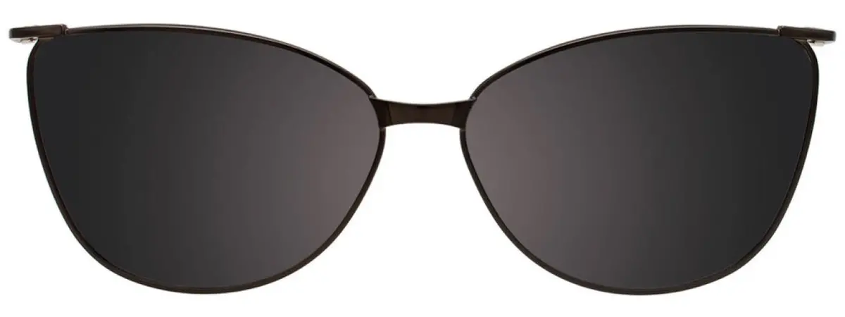 Takumi Tk1317 Eyeglasses 1