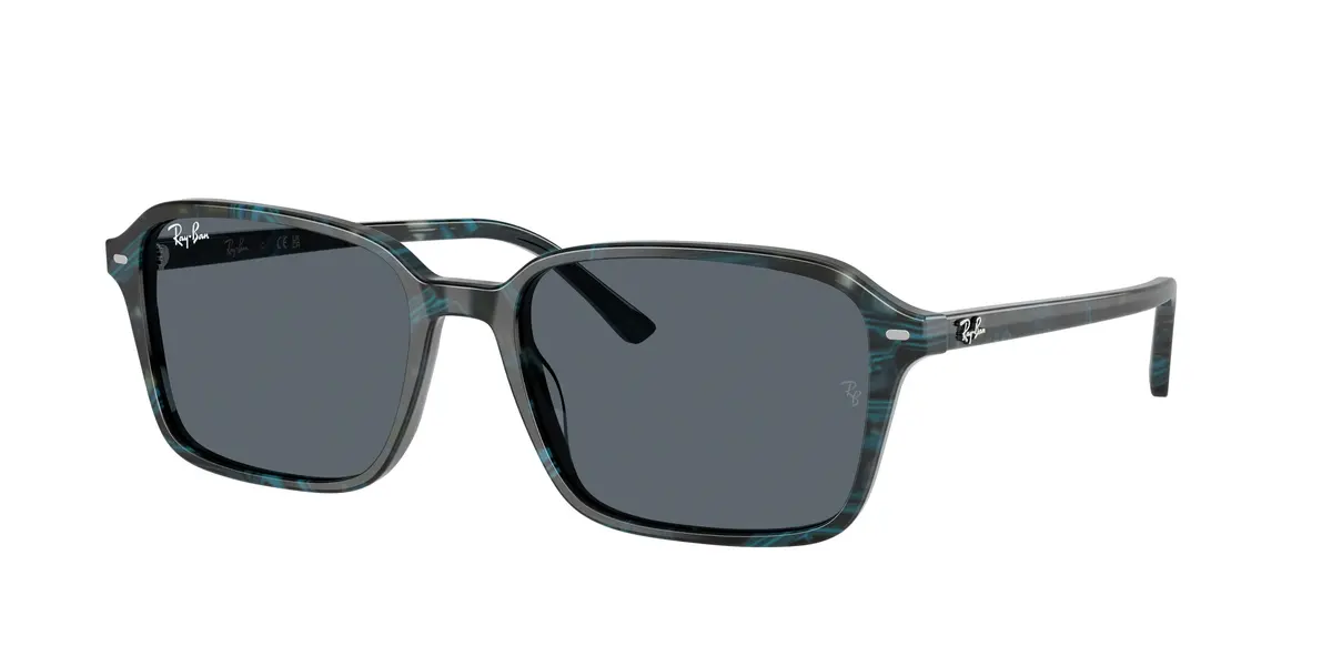 Ray-Ban Raimond 2231 Sunglasses 1